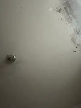 Snapshot of wellingtonmds chatting on November 1, 2025, 1:12 am wellingtonmds online show from November 1, 2025, 1:12 am