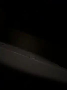 Snapshot of bart98geil chatting on April 6, 2026, 3:13 am bart98geil online show from April 6, 2026, 3:13 am