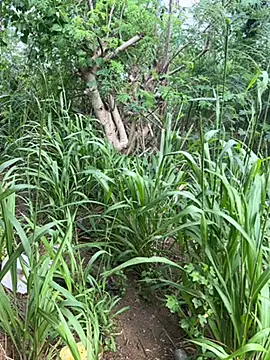 Snapshot of couplesexroom chatting on October 21, 2025, 10:58 am couplesexroom online show from October 21, 2025, 10:58 am