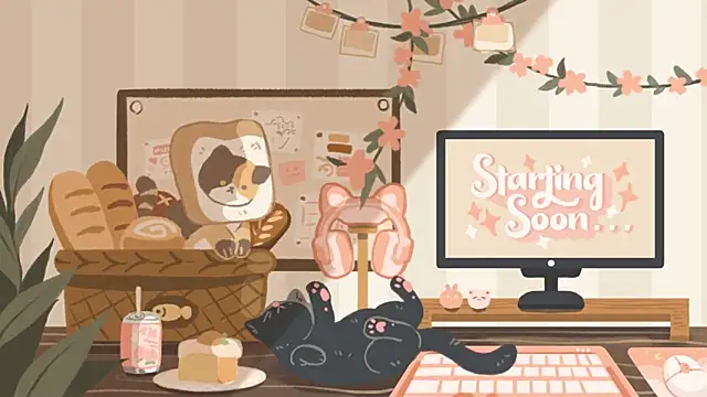 Snapshot of geekycastillo chatting on November 27, 2025, 11:49 pm geekycastillo online show from November 27, 2025, 11:49 pm