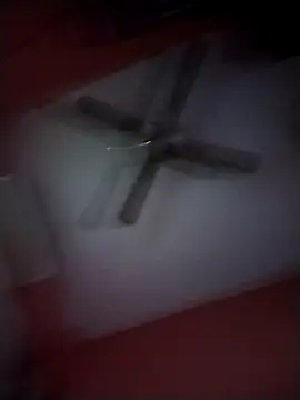 Snapshot of Danii2005 chatting on November 25, 2025, 8:09 pm Danii2005 online show from November 25, 2025, 8:09 pm