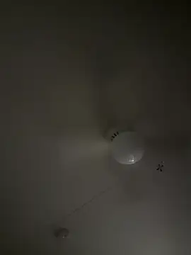 Snapshot of D13ON3L chatting on November 8, 2025, 8:07 am D13ON3L online show from November 8, 2025, 8:07 am