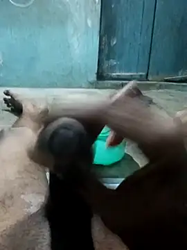 Snapshot of naveen_3222 chatting on November 25, 2025, 4:07 pm naveen 3222 online show from November 25, 2025, 4:07 pm