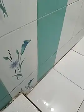 Snapshot of naveen_3222 chatting on October 29, 2025, 8:13 am naveen 3222 online show from October 29, 2025, 8:13 am