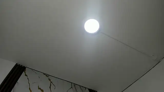 Snapshot of Cami_venus_hh chatting on November 11, 2025, 12:33 pm Cami venus hh online show from November 11, 2025, 12:33 pm