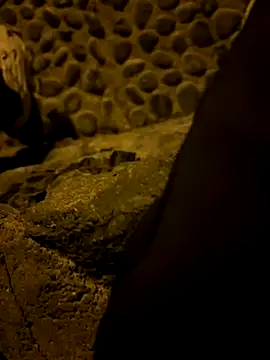 Snapshot of Rico1_1 chatting on November 14, 2025, 9:40 pm Rico1 1 online show from November 14, 2025, 9:40 pm