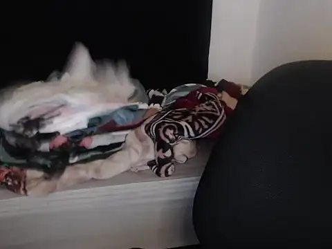 Snapshot of Negritatata chatting on November 28, 2025, 11:10 am Negritatata online show from November 28, 2025, 11:10 am