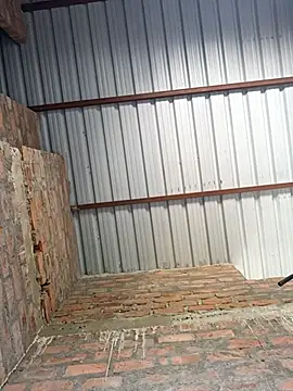 Shaik11231 online show from November 17, 2025, 9:02 am