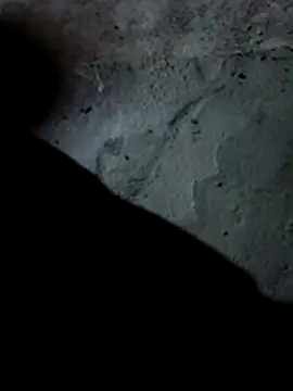 Shaik11231 online show from November 20, 2025, 1:56 pm