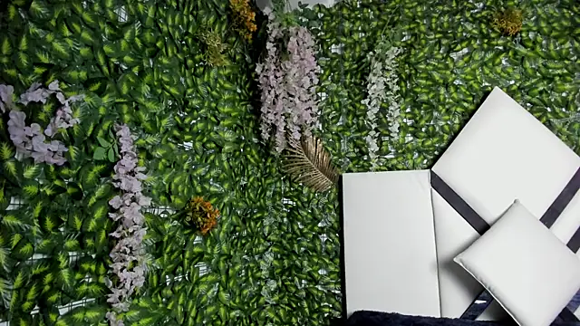 STEVEN STAR online show from November 4, 2025, 7:39 pm