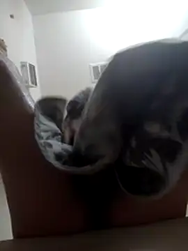 Snapshot of Fuckboyguyman chatting on December 17, 2025, 6:51 am Fuckboyguyman online show from December 17, 2025, 6:51 am