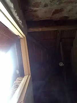 younggblackkCOCK19 online show from December 22, 2025, 7:52 am