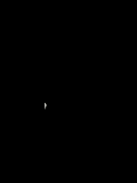 lucca1x online show from March 1, 2026, 4:12 am