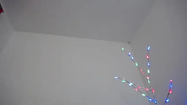 Mia fox29 online show from December 17, 2025, 11:26 am