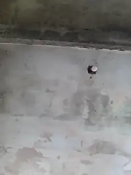 Snapshot of AlanMargin chatting on November 8, 2025, 6:22 pm AlanMargin online show from November 8, 2025, 6:22 pm