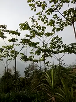 Snapshot of doggy-00 chatting on March 20, 2026, 10:05 am doggy-00 online show from March 20, 2026, 10:05 am