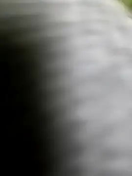 playboy210600 online show from February 5, 2026, 2:35 pm