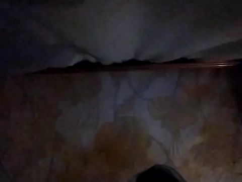 Snapshot of Anaiscpl2405 chatting on November 19, 2025, 5:13 pm Anaiscpl2405 online show from November 19, 2025, 5:13 pm