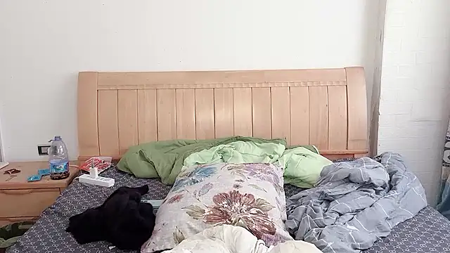 Snapshot of N228 chatting on December 5, 2025, 6:56 am N228 online show from December 5, 2025, 6:56 am