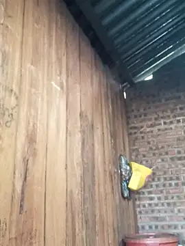 HGiasexy69 online show from November 16, 2025, 12:15 am