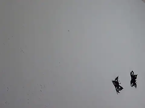 Morticia Black online show from January 18, 2026, 8:01 pm