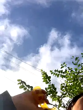 Snapshot of bi-bo123 chatting on November 23, 2025, 1:26 am bi-bo123 online show from November 23, 2025, 1:26 am