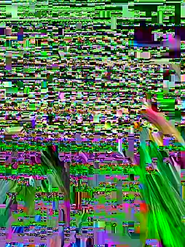 LilluKatten online show from August 4, 2026, 9:14 am