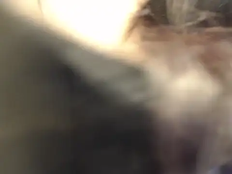 Snapshot of kristelltender1 chatting on November 26, 2025, 11:05 pm kristelltender1 online show from November 26, 2025, 11:05 pm