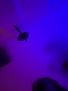 Snapshot of gatburna chatting on January 18, 2026, 7:12 am gatburna online show from January 18, 2026, 7:12 am