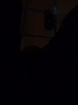 Snapshot of JeanAmazonas chatting on November 3, 2025, 11:08 pm JeanAmazonas online show from November 3, 2025, 11:08 pm