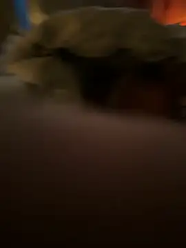 lightskinfever online show from December 16, 2025, 7:45 am