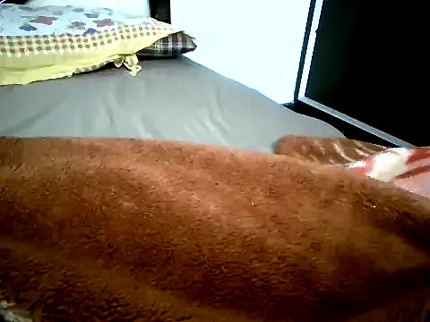 Cute DimpleGirl online show from November 3, 2025, 4:54 pm