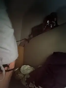 sylence777 online show from November 18, 2025, 11:59 pm