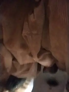 sexychd online show from December 4, 2025, 3:05 am