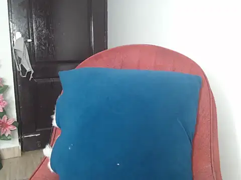 Snapshot of Sexy_Annii chatting on December 22, 2025, 12:11 am Sexy Annii online show from December 22, 2025, 12:11 am