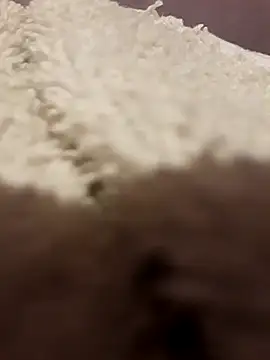 bluma24 online show from November 7, 2025, 8:24 pm