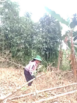 be-yeu online show from December 2, 2025, 1:39 am