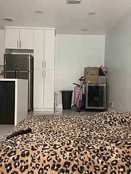 PrincessDreamm online show from May 14, 2026, 11:57 pm