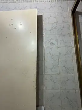 meliodas 23cm online show from June 20, 2026, 5:12 am
