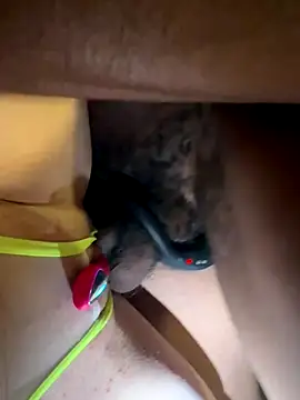 secretknight Mrmask online show from November 22, 2025, 7:18 am