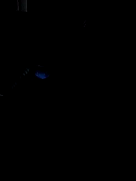 Darkkknet online show from November 9, 2025, 10:36 pm