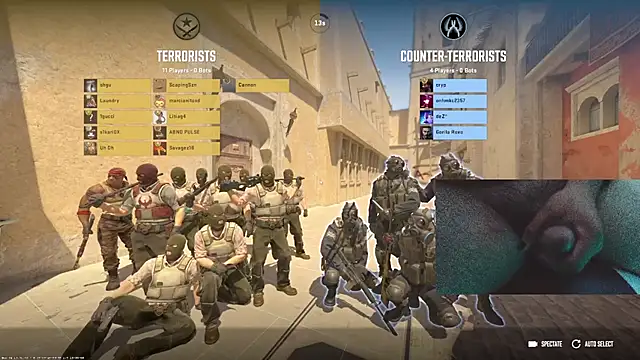 PixelPlaymate online show from November 10, 2025, 12:04 am