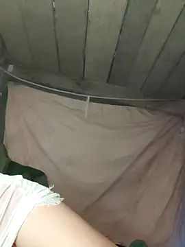 Snapshot of bibo-sex chatting on November 7, 2025, 11:37 am bibo-sex online show from November 7, 2025, 11:37 am