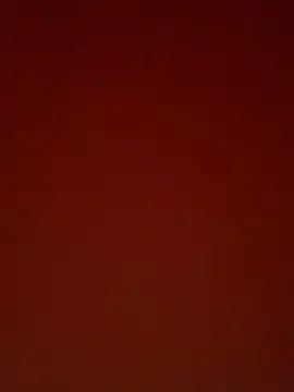 Snapshot of PlayfulArray64 chatting on June 16, 2026, 12:16 pm PlayfulArray64 online show from June 16, 2026, 12:16 pm