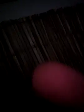 danellapass9090 online show from November 10, 2025, 9:09 pm