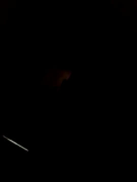 Snapshot of WillfulVideo chatting on March 22, 2026, 11:06 pm WillfulVideo online show from March 22, 2026, 11:06 pm