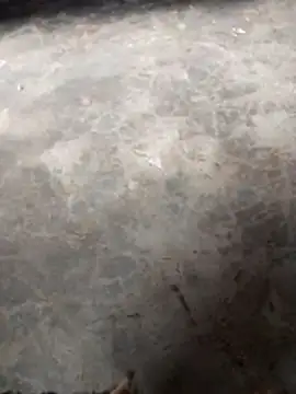 Snapshot of WillfulVideo chatting on November 12, 2025, 10:41 am WillfulVideo online show from November 12, 2025, 10:41 am