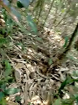 Cloud-wh online show from March 2, 2026, 2:45 am