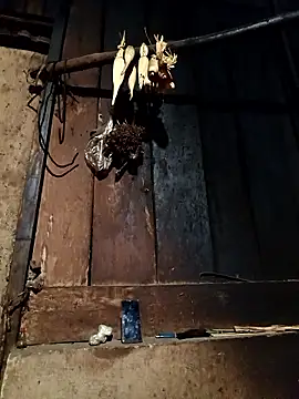 -Chua-90 online show from January 13, 2026, 11:36 am