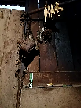 -Chua-90 online show from February 9, 2026, 11:36 pm